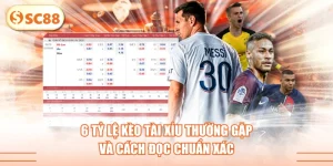 6 Tỷ Lệ Kèo Tài Xỉu Thường Gặp Và Cách Đọc Chuẩn Xác
